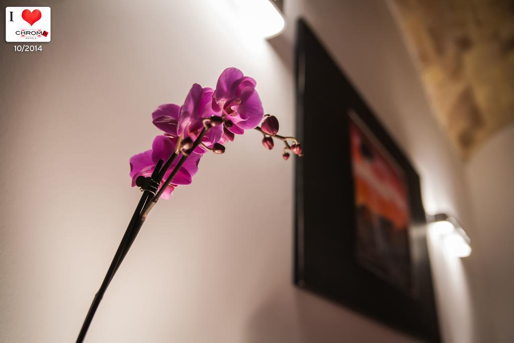 Chroma Italy - Chroma Apt Trastevere 객실 사진